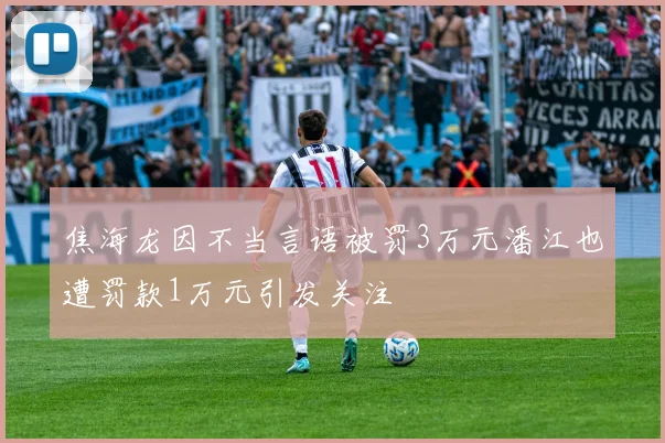 焦海龙因不当言语被罚3万元潘江也遭罚款1万元引发关注